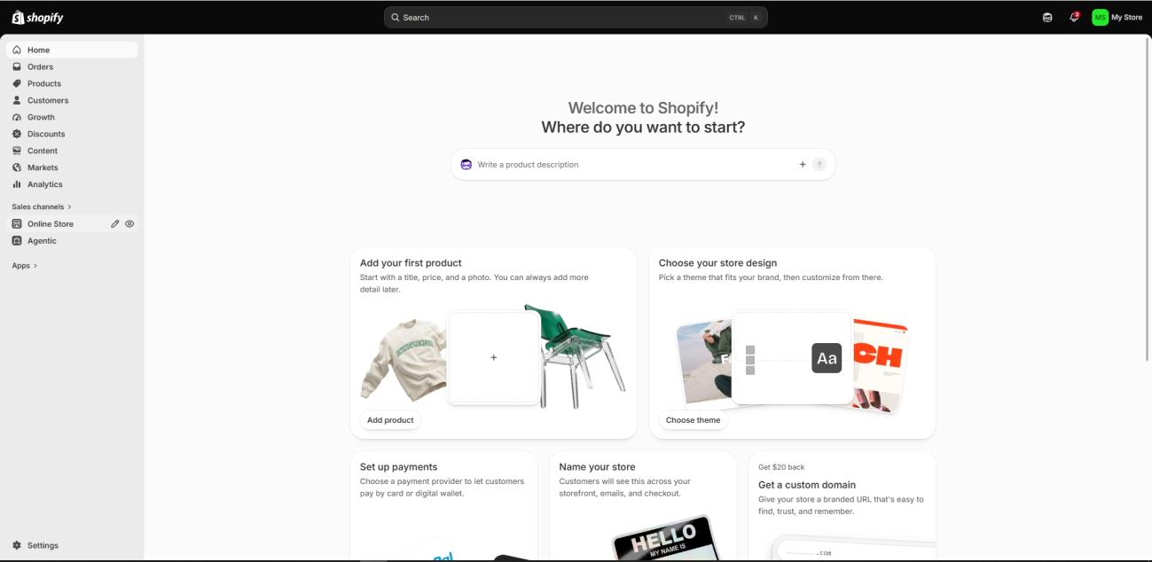 Shopify Online Store themes panel