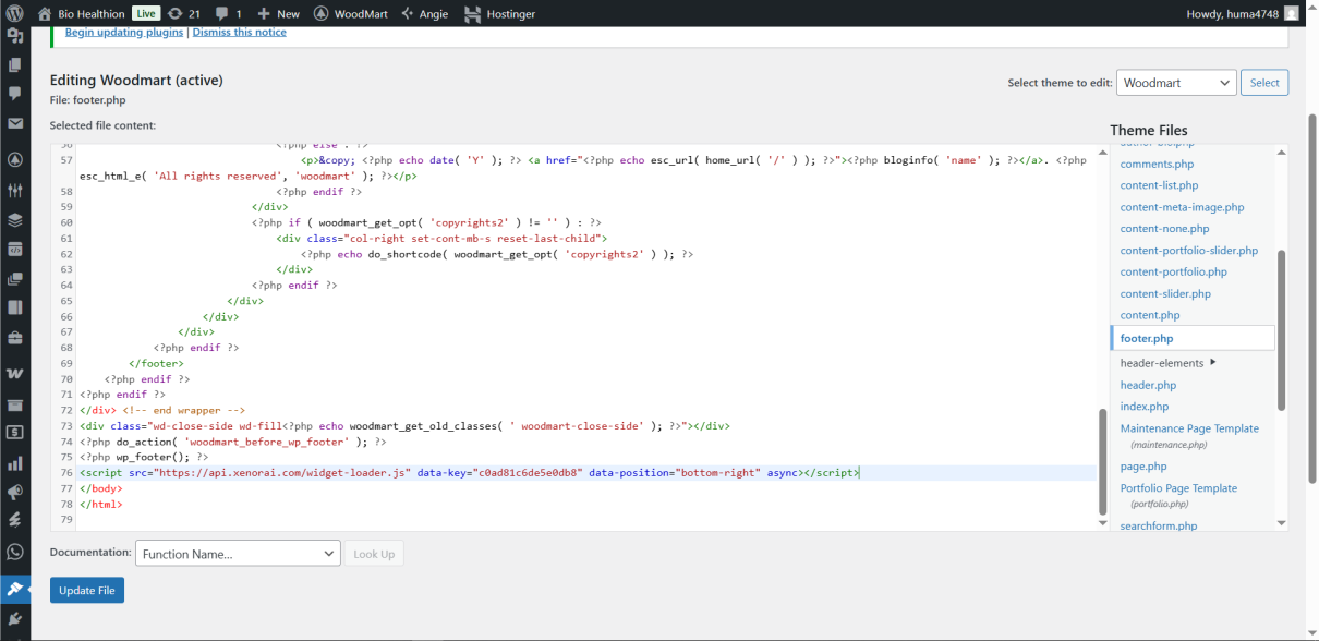 WordPress footer.php with XenorAI script pasted before closing body tag